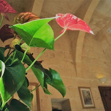 Encanto Vegetarian Bed & Breakfast Bed and Breakfast Xagħra Εξωτερικό φωτογραφία