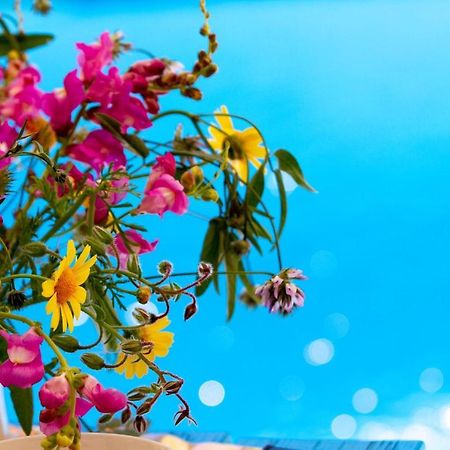Encanto Vegetarian Bed & Breakfast Bed and Breakfast Xagħra Εξωτερικό φωτογραφία