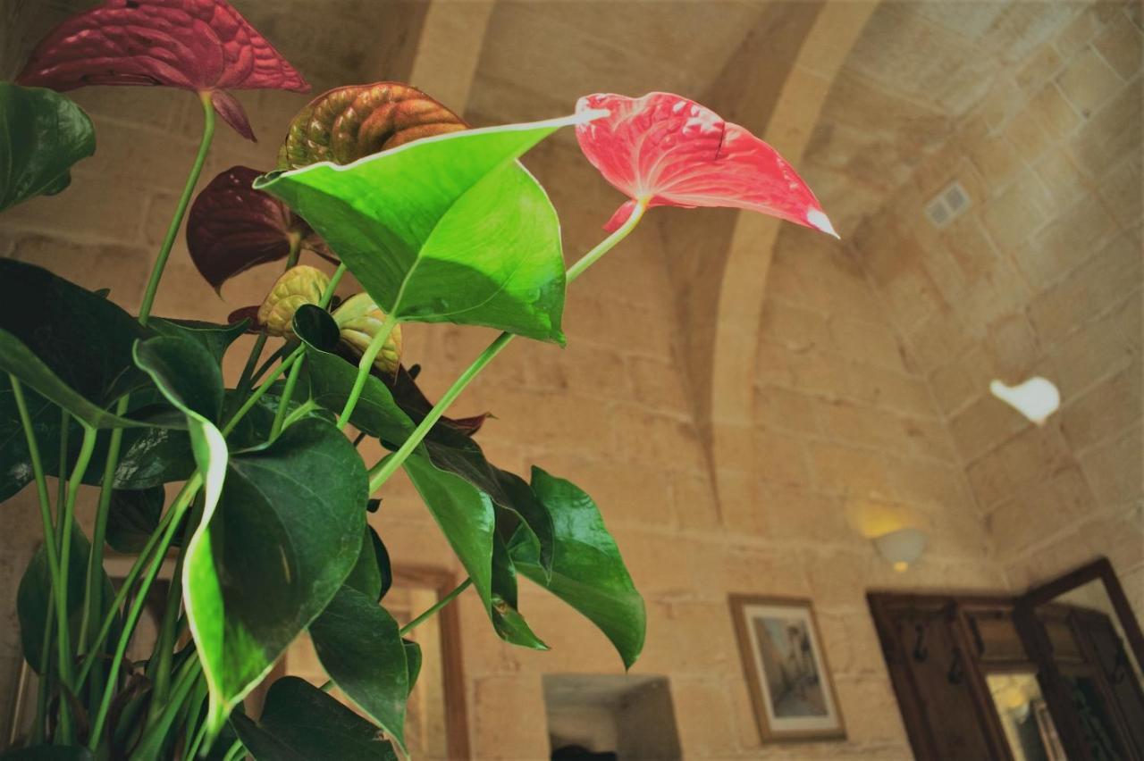 Encanto Vegetarian Bed & Breakfast Bed and Breakfast Xagħra Εξωτερικό φωτογραφία