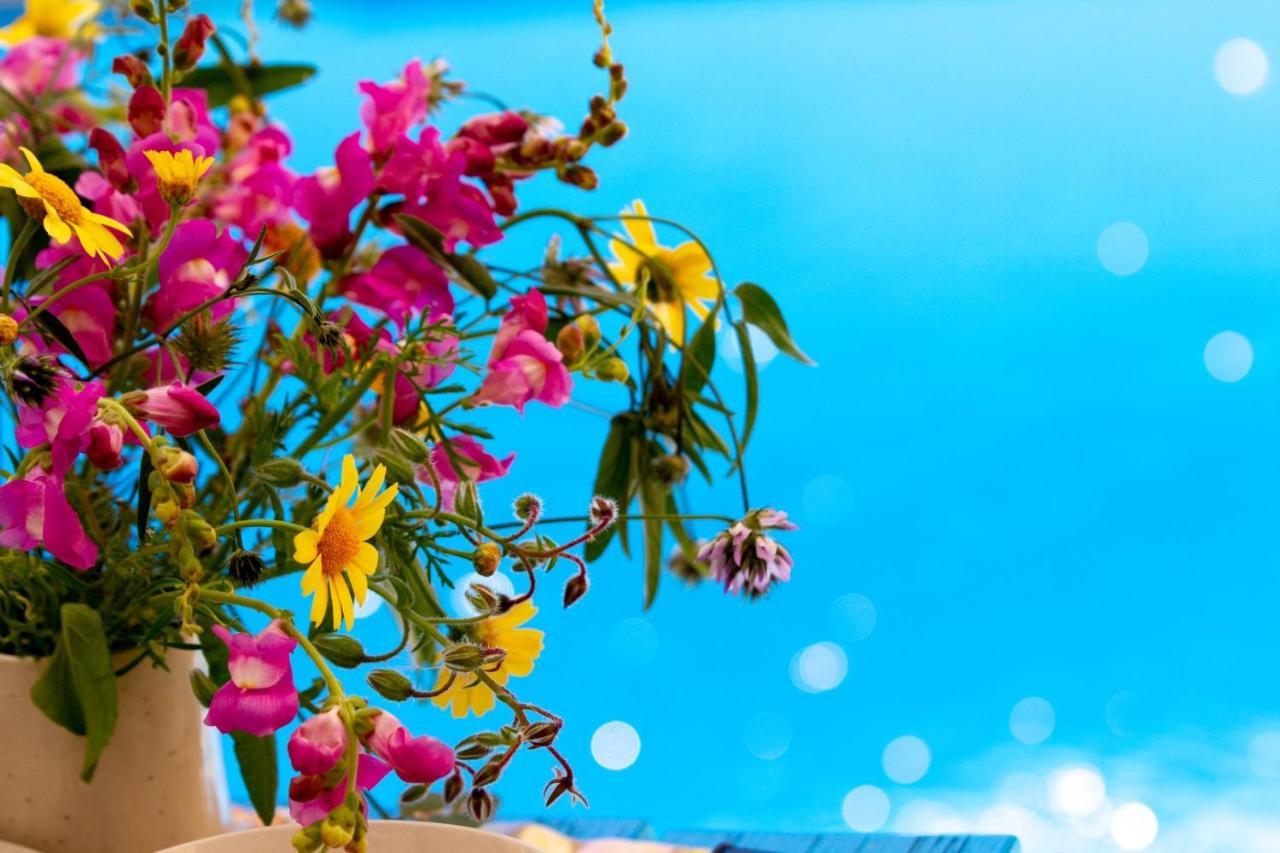 Encanto Vegetarian Bed & Breakfast Bed and Breakfast Xagħra Εξωτερικό φωτογραφία